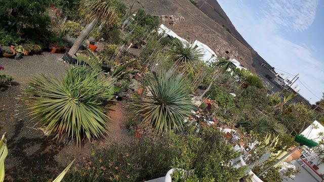 The Garden LANZAROTE