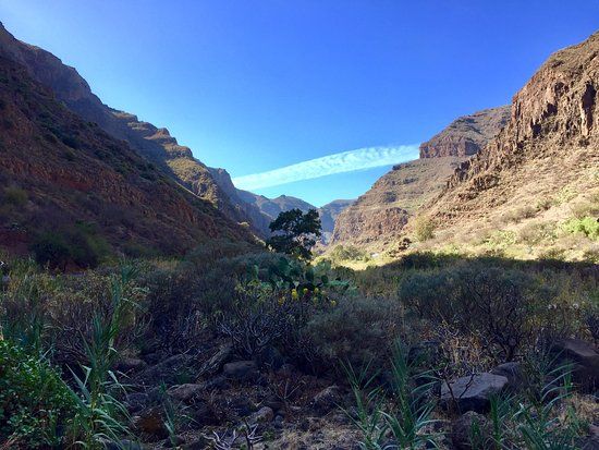 Barranco de Guayadeque