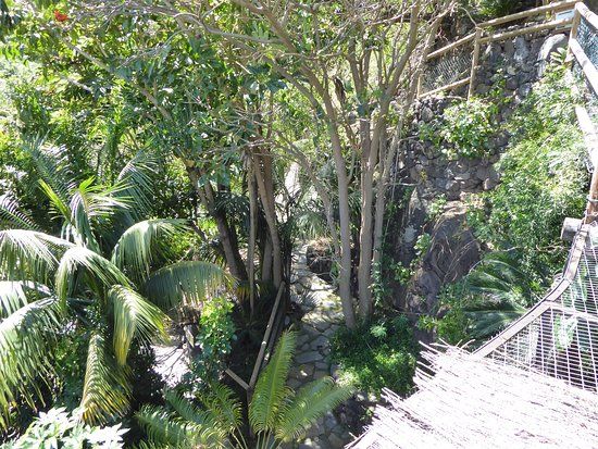 el Maroparque Isla de La Palma