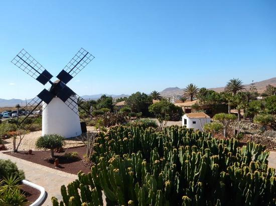 Molino de Antigua