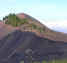 Montanon Negro