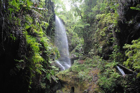 Cascada De Los Tilos
